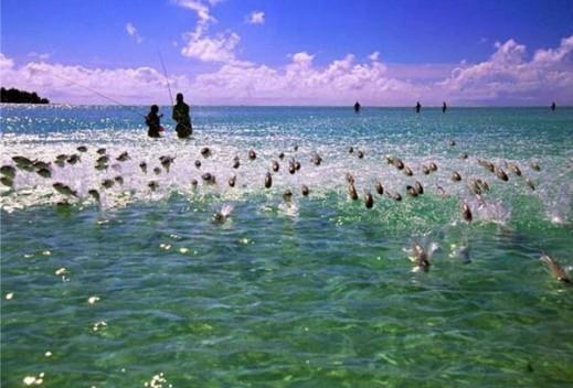 de pe net - picturestakenattherighttime-45-519x3521.jpg